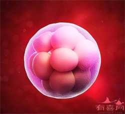 51岁供卵试管婴儿的成功率_美国试管婴儿进周前为什么要检查染色体
